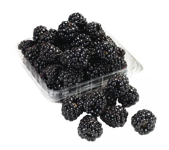 Black berries