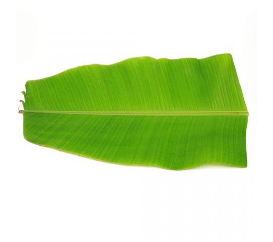 Banana Leaf