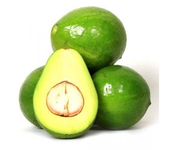 Avocado