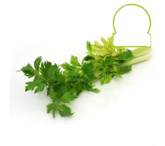 Celery