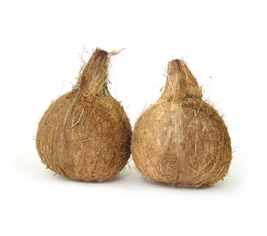 Coconut - Organically Grown